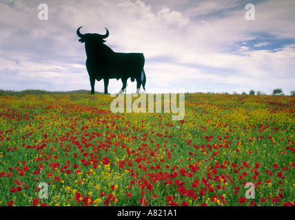 Toros de Osborne, Andalousie, Espagne Banque D'Images