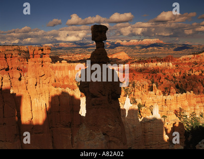 Les cheminées rocheuses dans le Parc National de Bryce Canyon au coucher du soleil dans l'Utah Banque D'Images