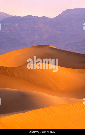 Aube lumière sur la télévision Mesquite Sand Dunes Grapevine Mountains en arrière-plan la Death Valley National Park Californie Banque D'Images