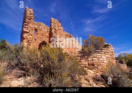 Kiva à double paroi en ruines du château de Fardée Hovenweep National Monument Colorado Banque D'Images