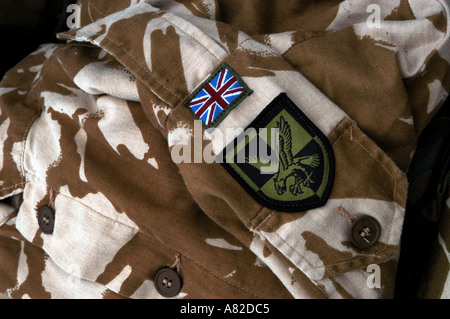 Les préparatifs de guerre de l'Iraq, Colchester, casernes de l'Angleterre. 2003 3 Para 16 Brigade d'assaut aérien montrent leur kit. Banque D'Images