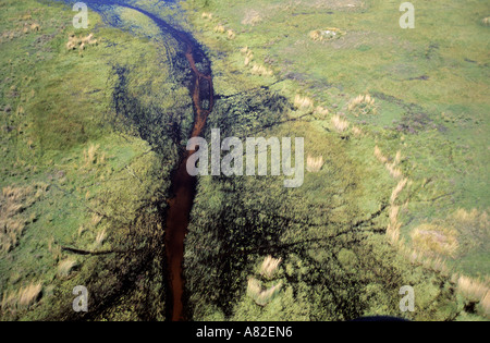 Le Botswana, Okavango delta (vue aérienne) Banque D'Images