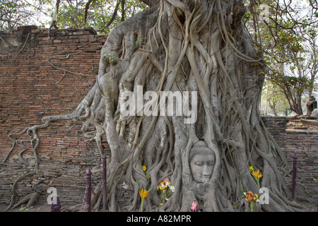 Envahis par les grès anciens Budah à Ayuttaya Banque D'Images