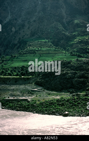 Terrasses agricoles du nord du Pakistan dans la vallée de l'Indus Banque D'Images