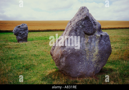 Menhirs de West Kennet Avenue à Avebury en Angleterre Banque D'Images