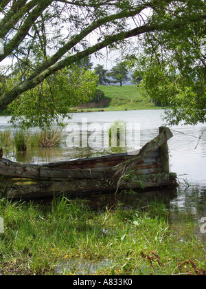 Lac Rotoma, Nouvelle-Zélande Banque D'Images