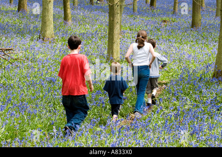 Enfants jouant - Ashridge Woods Bluebells - Buckinghamshire Banque D'Images