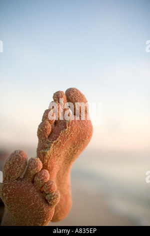 Les pieds et les orteils de sable sur la plage près de l'arbre de la Conque Palencar Beach west side Cozumel mexique Banque D'Images