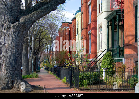 Maisons en rangée en brique sur la colline du Capitole à Washington D C Banque D'Images