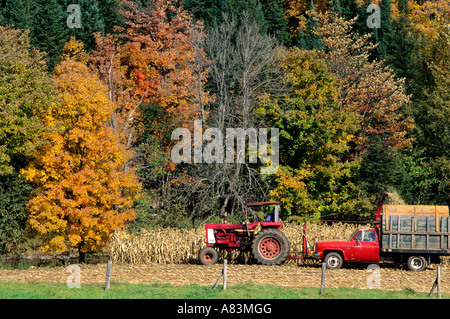 La récolte de maïs dans le Vermont Banque D'Images