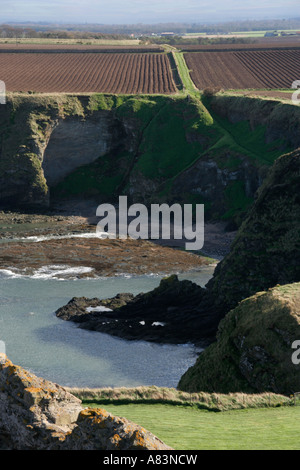 Vue depuis le Château de Tantallon North Berwick littoral criques et plages ecosse uk go Banque D'Images