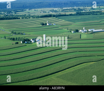 Vue aérienne de la ferme laitière, comté de Lancaster en Pennsylvanie Banque D'Images