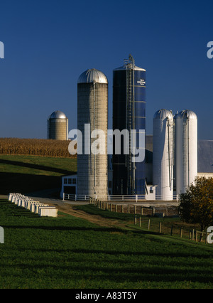 Ferme laitière EN AUTOMNE 1 NOVEMBRE 2000 EPHRATA PA Banque D'Images