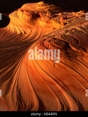 Tourbillons de grès l'une des formations rocheuses d'érosion à Coyote Buttes sur l'extrémité nord de la Vermilion Cliffs Wilderness Paria Canyon USA Banque D'Images