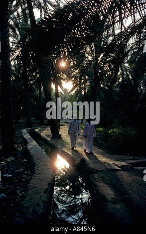 L'Oman. Village d'Izki. Les hommes marchant à travers oasis créé par l'eau qui coule des montagnes à travers un falaj. Banque D'Images