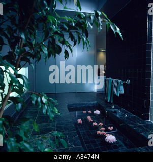 Grande plante verte au-dessus de baignoire encastrée avec pétales de rose flottant en noir 80 salle de bains Banque D'Images