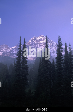 Mt Rainier entourée d'arbres au coucher du soleil le Mont Rainier National Park Washington Banque D'Images