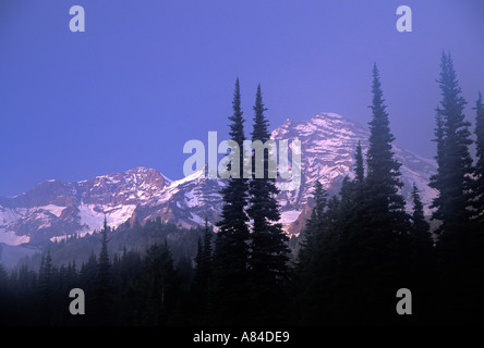 Mt Rainier entourée d'arbres au coucher du soleil le Mont Rainier National Park Washington Banque D'Images