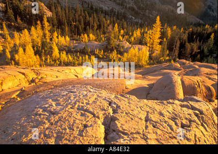 Lever du soleil sur les dalles texturées rock Lake Ingalls Forêt nationale de Wenatchee, Washington Cascade Mountains Banque D'Images