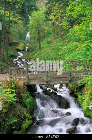 Pont sur Waheena Réserve Naturelle Wahkeena Creek Falls trailhead Columbia River Gorge Portland Oregon Banque D'Images