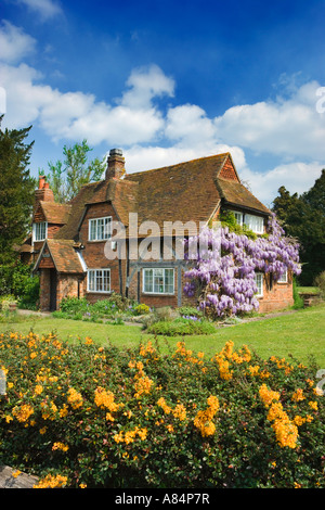 Cottage avec glycine. Surrey, UK Banque D'Images