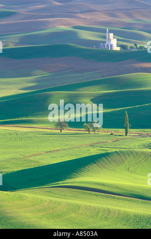 Whitman Grainery et collines de champs de blé Steptoe Butte State Park Washington zone Palousienne Banque D'Images