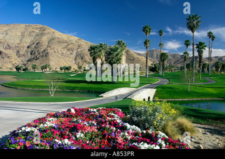 Beaux fairways et greens de golf dans le Canyon Country Club de Palm Springs, California USA Banque D'Images