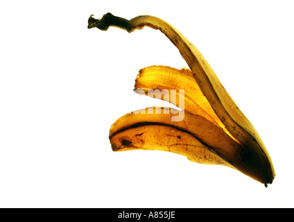 Peau de banane Banque D'Images