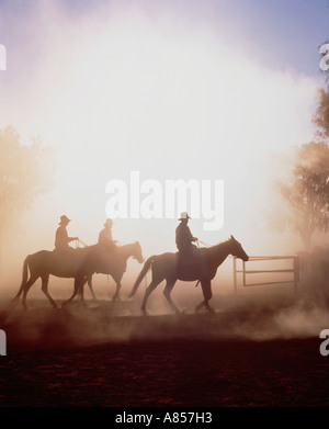 Vue de côté de trois hommes d'actions sur l'équitation à travers la brume du matin au lever du soleil. L'Australie. Banque D'Images