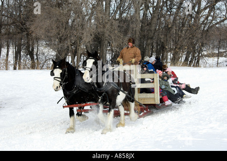 Promenade en carriole dans la neige au Festival du Voyageur à Winnipeg Manitoba Canada Banque D'Images