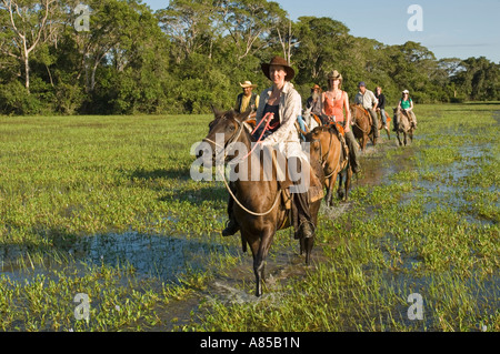 Un groupe de touristes européens dans une visite guidée de l'équitation à travers le Pantanal au Brésil. Banque D'Images