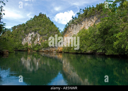 Vert luxuriant des forêts de mangrove et de calcaire côte de l'île de Gam, Raja Ampat en Indonésie. Banque D'Images