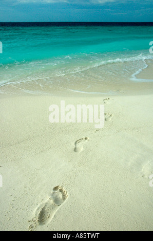 Des traces de pas dans le sable Soneva Gili aux Maldives. Banque D'Images