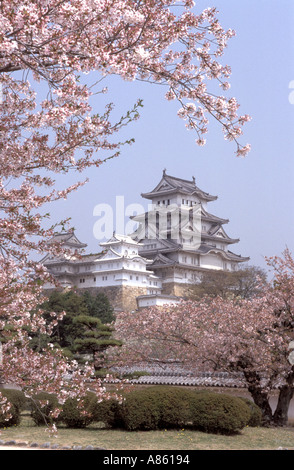 Les fleurs de cerisier la trame héron blanc château, également connu sous le nom de Château de Himeji, dans le Honshu central pendant la saison des cerisiers en fleur au printemps Banque D'Images