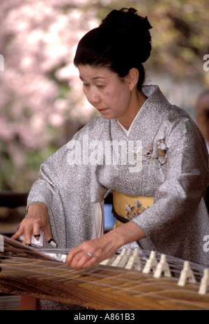 Une femme portant un kimono japonais ou koto, instrument de musique de harpe Banque D'Images