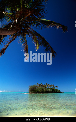 Petit motu à Muri Lagoon sur l'île de Rarotonga aux îles Cook dans l'océan Pacifique Sud Polynésie Française Banque D'Images
