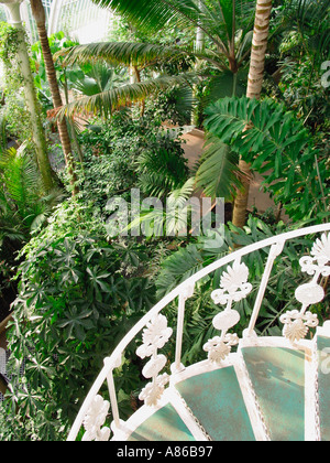 Palm House, Kew Gardens, Kew, Londres, Angleterre, Royaume-Uni Banque D'Images