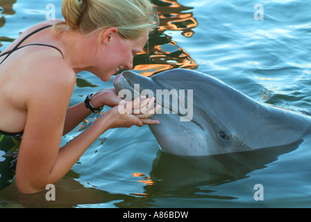 Une femme arrive à toucher un dauphin dans un environnement captif du Dolphin Research Center de Grassy Key Banque D'Images