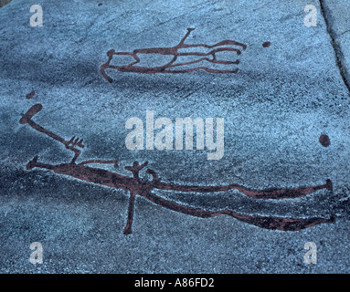 L'Âge de Bronze sculptures sur roc à Vitlyke, éventuellement représentant un guerrier et amoureux, Lysekil, Suède, Bohus. Banque D'Images