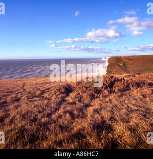 Falaise vue depuis les sept soeurs sur la South Downs Way Banque D'Images