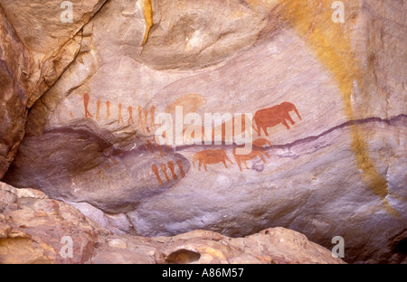 San ou Bushmen peintures dans les montagnes de Cedarberg Western Cape Afrique du Sud Ces représentent des figures humaines et des éléphants Banque D'Images