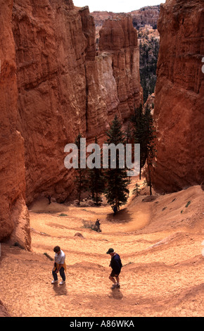 Le Parc National de Bryce Canyon Utah United States America Banque D'Images