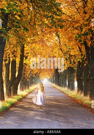Femme en robe blanche sur la route bordée d'arbres en Suède en automne Banque D'Images