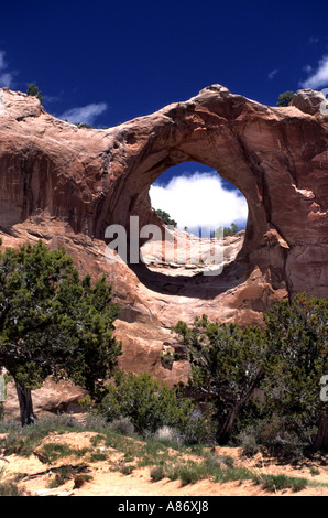 United States USA Arizona Window Rock Capital Navajo Mountains Banque D'Images