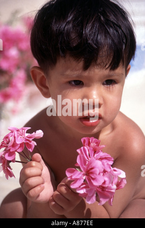 Un jeune garçon 23 ans Asian American Hawaiian fleurs rose tenant dans ses mains tout en s'accroupissant vers le bas à l'écart du soleil noir fleur cheveux POV Banque D'Images