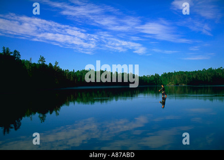 Un homme debout dans le lac Marais Minnesota fly fishing au lever du soleil avec ciel bleu reflété sur l'eau Boundary Waters Canoe Area Banque D'Images