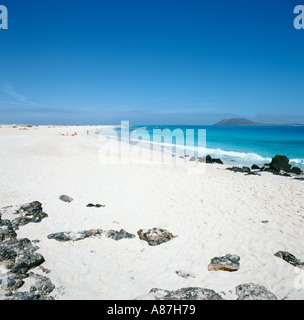 Plage, dans le parc naturel de Corralejo, Fuerteventura, Îles Canaries, Espagne Banque D'Images