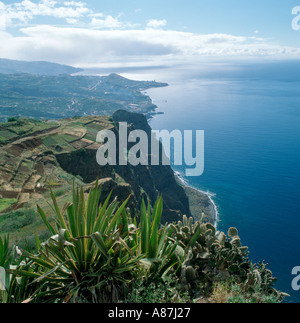 Vue vers la ville de Funchal à partir de la falaise de Cabo Girao, Madeira, Portugal Banque D'Images