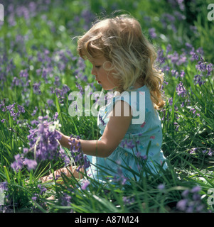 Portrait d'une petite fille assise dans Field of Bluebells, West Yorkshire, Angleterre, Royaume-Uni Banque D'Images