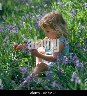 Petite fille assise dans la zone de Bluebells, West Yorkshire, England, United Kingdom Banque D'Images